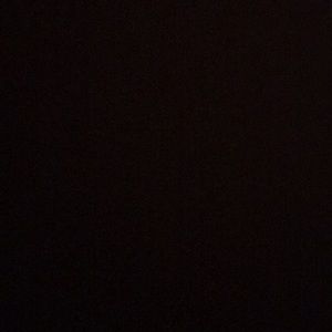 Meet your Posher, Lily